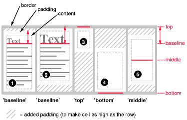 Example of vertically
  aligning the cells